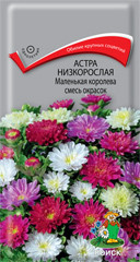 Астра низкорослая Маленькая королева Смесь 0,1гр