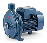 Центробежный насос Pedrollo CP 230B (4кВт | 380В | от 6 до 54 м3/час |от 13 до 38.5 м Напор), фото 2