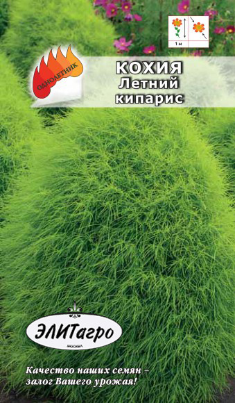 Кохия Летний кипарис 0,5гр
