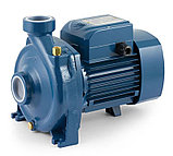 Центробежный насос Pedrollo HF 70C (1.1кВт | 380В | от 0 до 18 м3/час | от 15 до 29 м Напор), фото 2