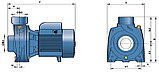 Центробежный насос Pedrollo HFm 70C, фото 5