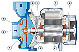 Центробежный насос Pedrollo HFm 5C, фото 6