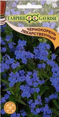 Семена. Чернокорень лекарственный (5 штук)