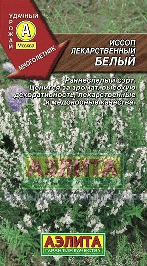 Семена. Иссоп лекарственный «Белый», 0,1 г