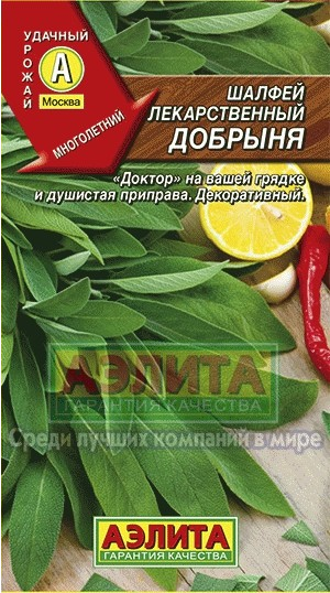 Семена. Шалфей лекарственный «Добрыня», 0,2 г