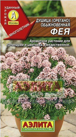 Семена. Душица обыкновенная «Фея», 0,05 г