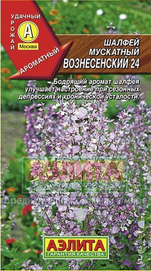 Семена. Шалфей мускатный «Вознесенский 24», 0,2 г
