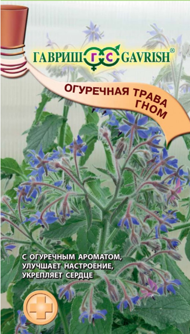 Семена. Огуречная трава (бораго) «Гном», 0,5 г