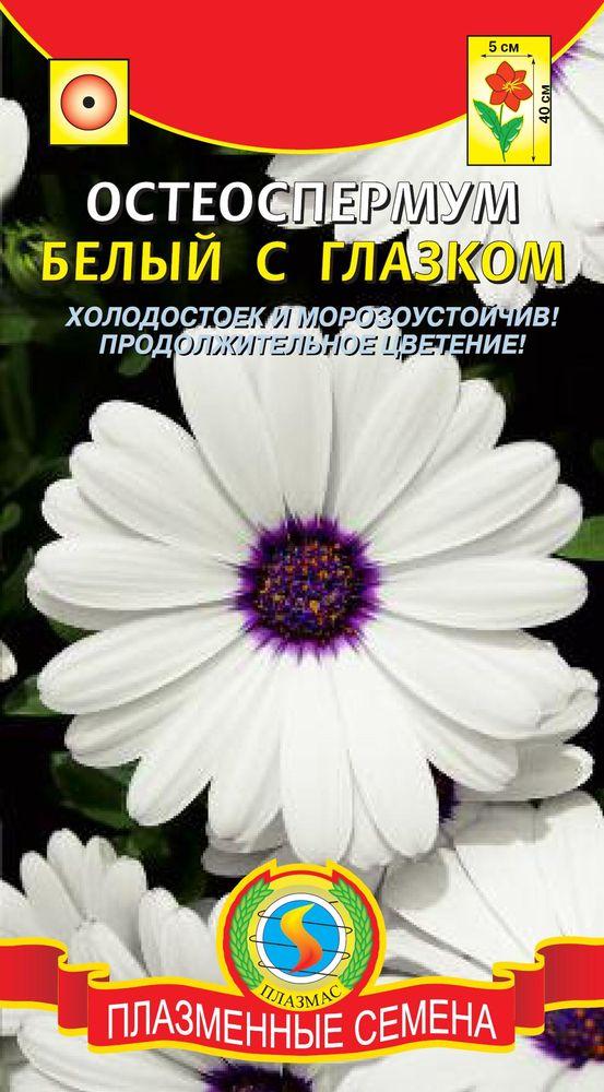Остеоспермум Белый с глазком 4шт