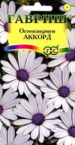 Остеоспермум Аккорд 0,1-0,2г