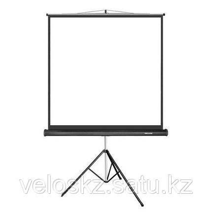 Экран 203-154 на штативе белый Delux DLS-T203x154W, фото 2