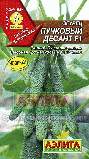 Огурец Пучковый десант F1 0,25гр