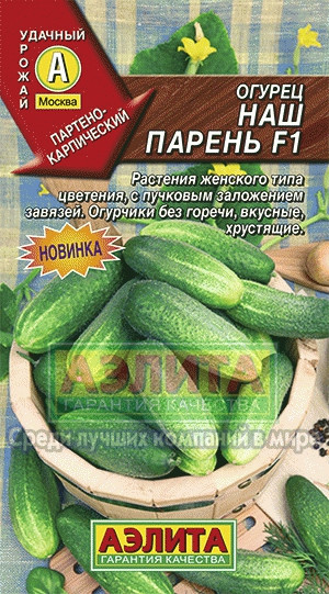 Огурец Наш парень F1 0,25 гр