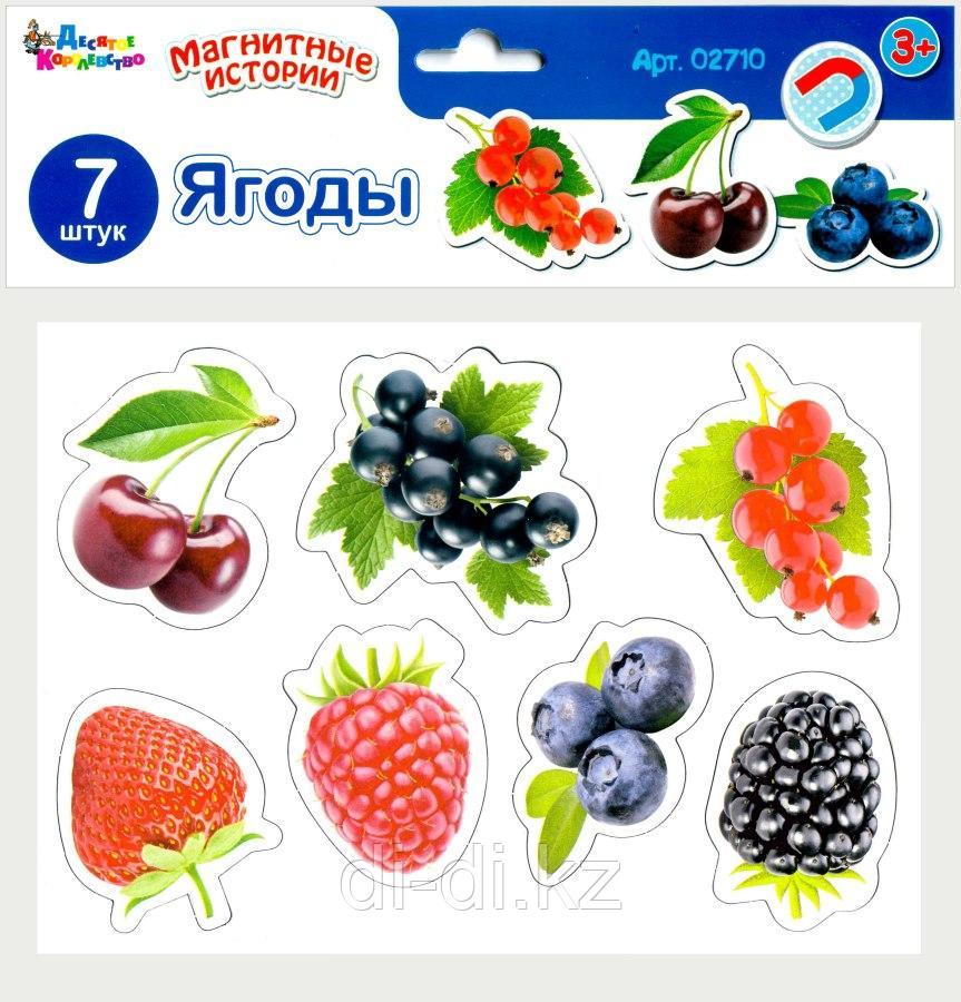 Магниты - "Ягоды"