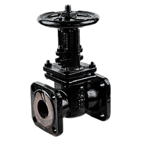 Жапқыш шойын/Задвижка чугун. Ду 50 Ру16