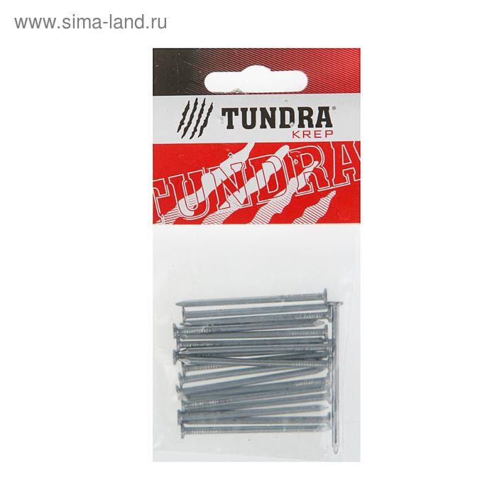 Гвоздь строительный TUNDRA krep, 2.5х50 мм, без покрытия, в упаковке 20 шт.