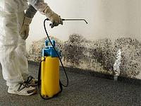 Маноксан БФА