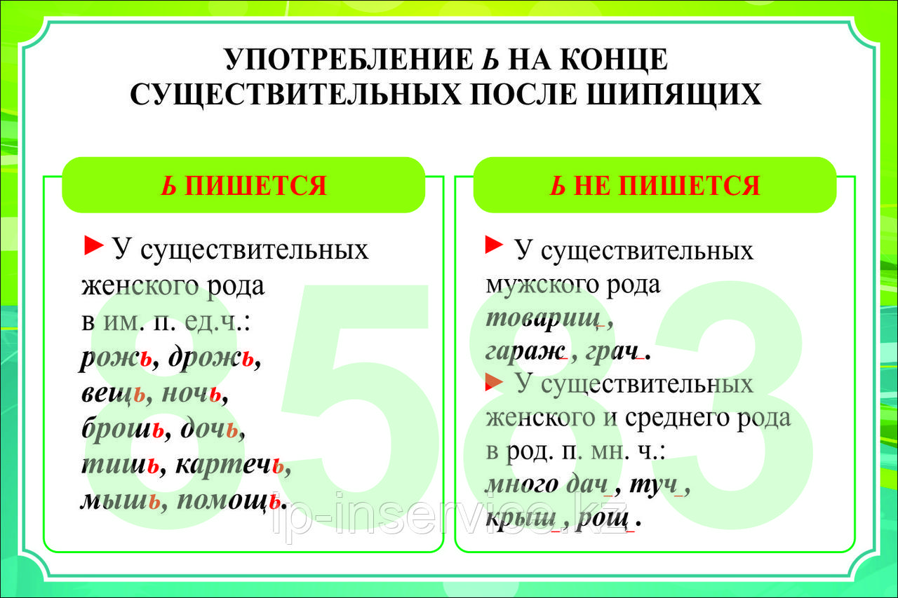 Русский язык 5 класс. Имя существительное