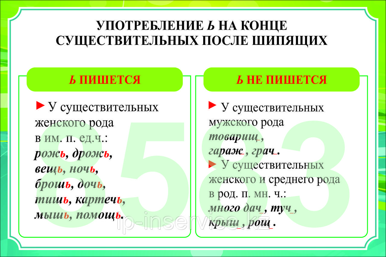 Русский язык 5 класс. Имя существительное - фото 1 - id-p20073117