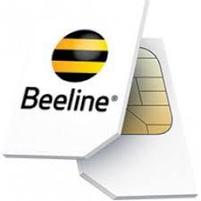 SIM карта Beeline 3G/4G "Безлимитище", фото 2
