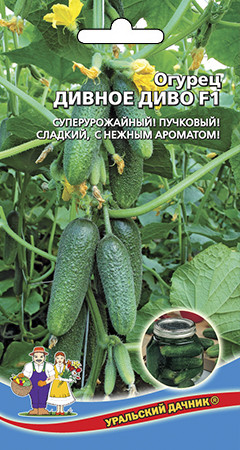 Огурец Дивное Диво 10-12шт /20