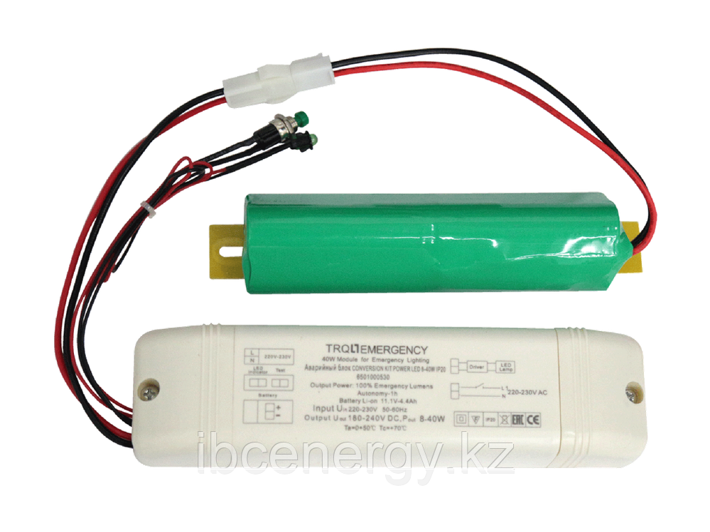 CONVERSION KIT POWER LED Блок аварийного питания выносной 220В, фото 1