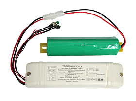 CONVERSION KIT POWER LED Блок аварийного питания выносной 220В