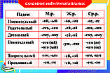 Русский язык 5 класс. Имя прилагательное, фото 5