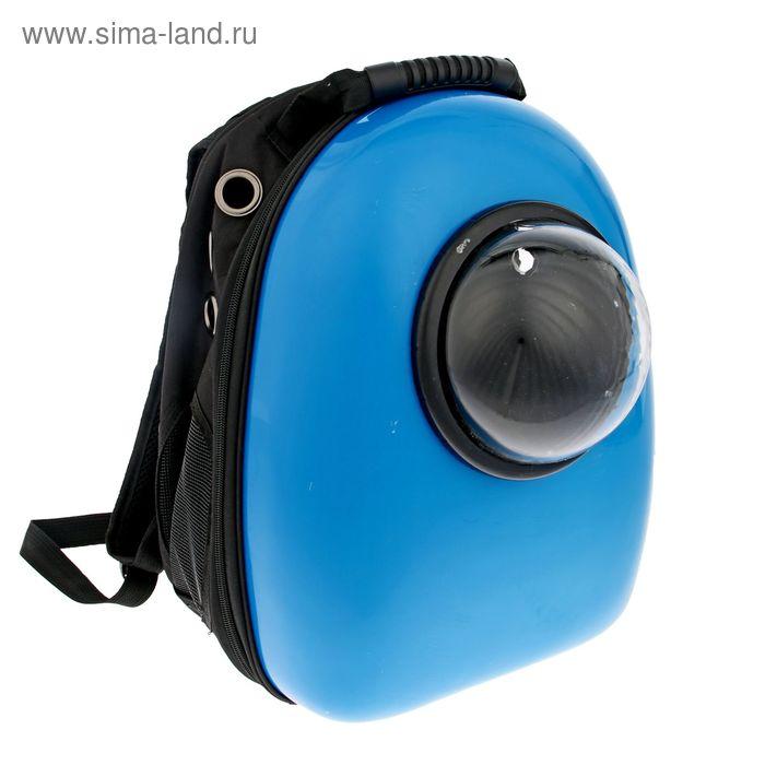 Рюкзак для переноски животных с окном для обзора, 32 х 22 х 43 см, голубой