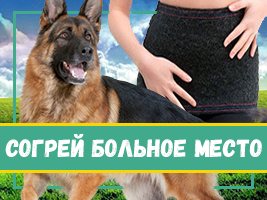 Продукция из собачьей шерсти