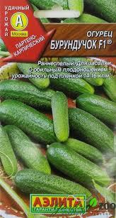 Огурец Бурундучок F1 0,25-0,3гр