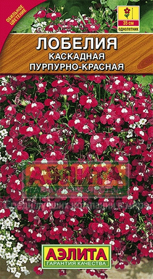 Лобелия каскадная пурпурно-красная 0,05гр
