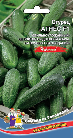 Огурец Агнес F1 8шт