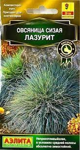 Овсяница сизая Лазурит 5 шт