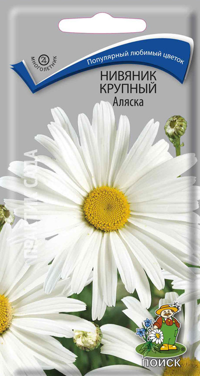 Нивяник крупный Аляска 0,5гр