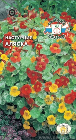 Настурция карликовая Аляска смесь 1гр