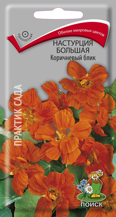 Настурция большая Коричневый блик 1гр