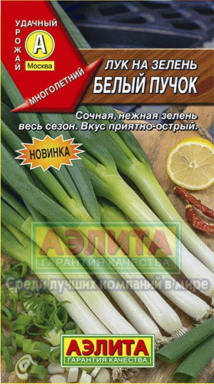 Лук на зелень Белый пучок 0,5гр