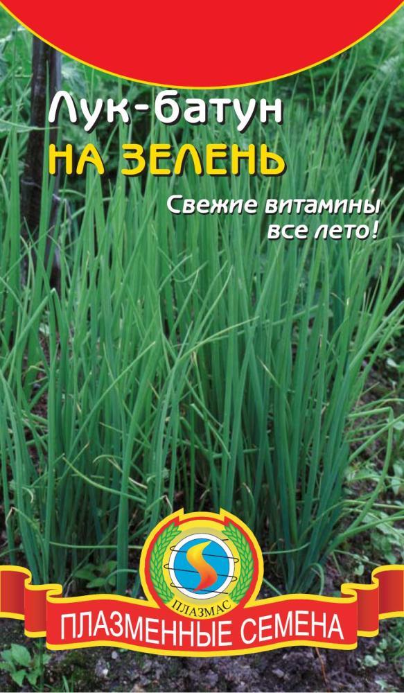 Лук на зелень 0,5-0,6гр