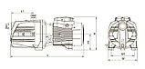 Насос центробежный самовсасывающий Leo AJm 150, фото 6