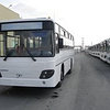 Прокат аренда авто Автобус Daewoo BS (45 мест), фото 2