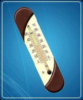 Термометр бытовой сувенирный П-9 (0...+50) ц.д.1, основание-пластмасса, 190х45мм