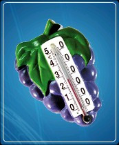 Термометр бытовой сувенирный "Виноград" (0...+50) ц.д.1, основание-гипс - фото 1 - id-p4594152