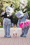 Мишки Тедди на утренник в Павлодаре, фото 2