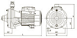 Насос центробежный Leo 2ACm 300H, фото 6