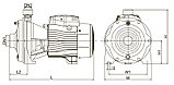 Насос центробежный Leo 2ACm 150, фото 6