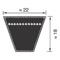 SPC3750 ремень  Optibelt SK