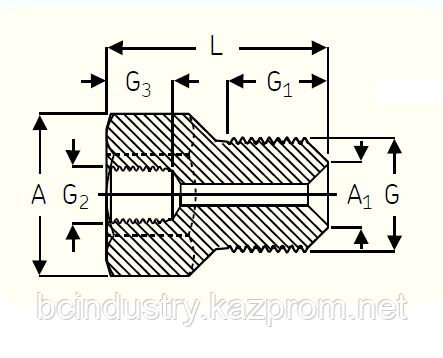 1018219 Е Переходник с трубной резьбой SKF