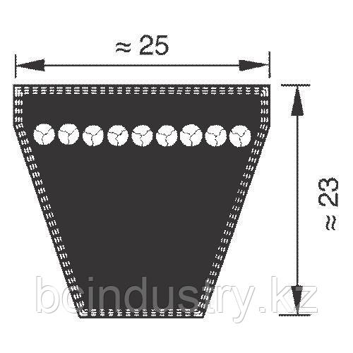 8V 1900 ремень Optibelt SK