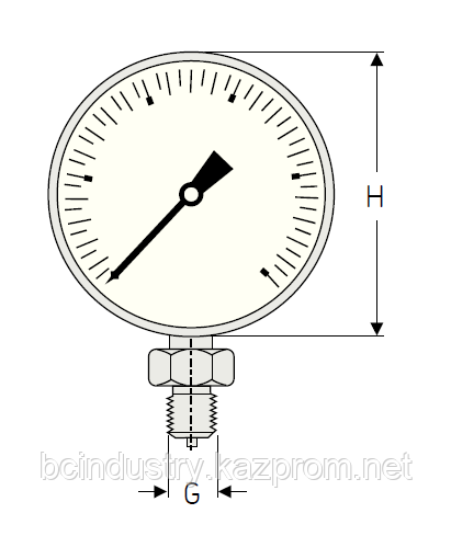 1077589/2  Манометр SKF